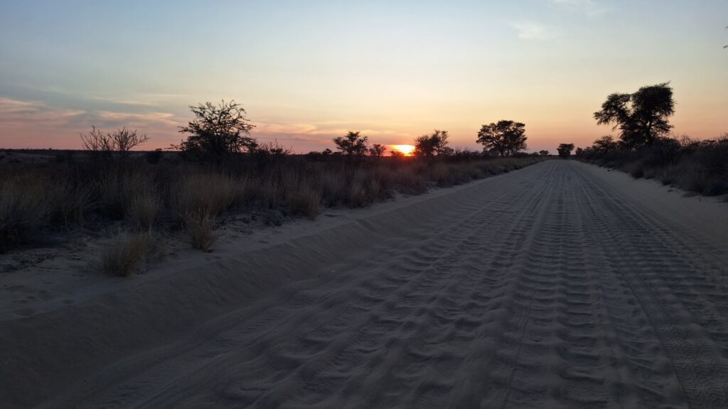 Top destinations for seniors: The Kgalagadi Transfronteir Park
