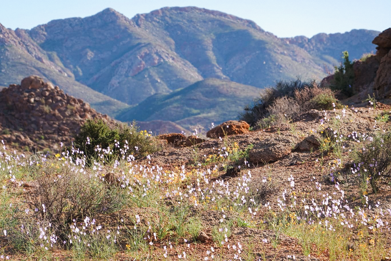 Top Destinations for Seniors: Richtersveld National Park