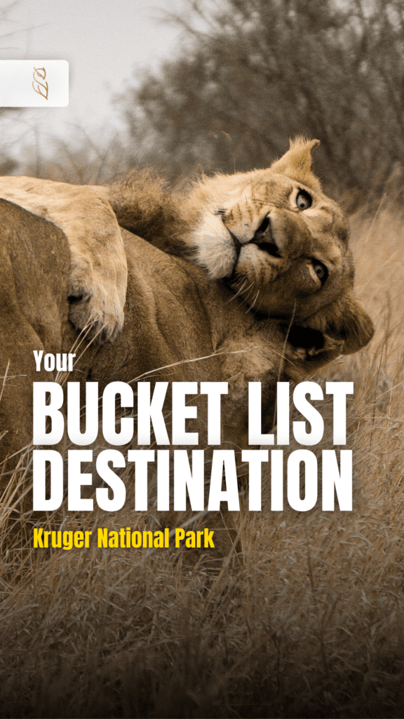 Activities for seniors in South Africa: Kruger National Park Small Group Tour
